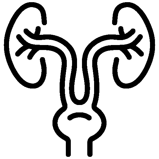 Urology & Andrology
